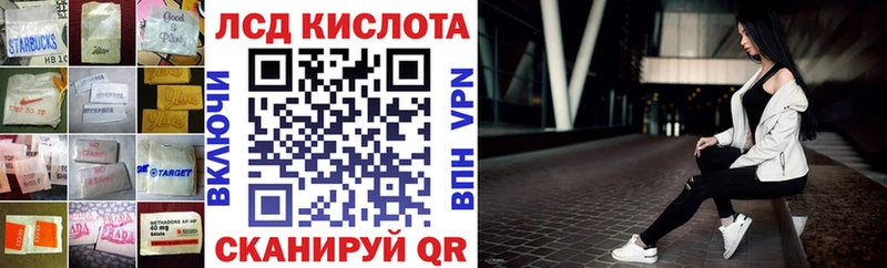 где купить наркотик  Курчалой  Лсд 25 экстази кислота 
