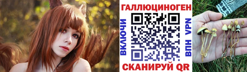 Галлюциногенные грибы Magic Shrooms  Курчалой 