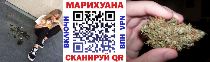 mega ССЫЛКА  Курчалой  Марихуана ГИДРОПОН 